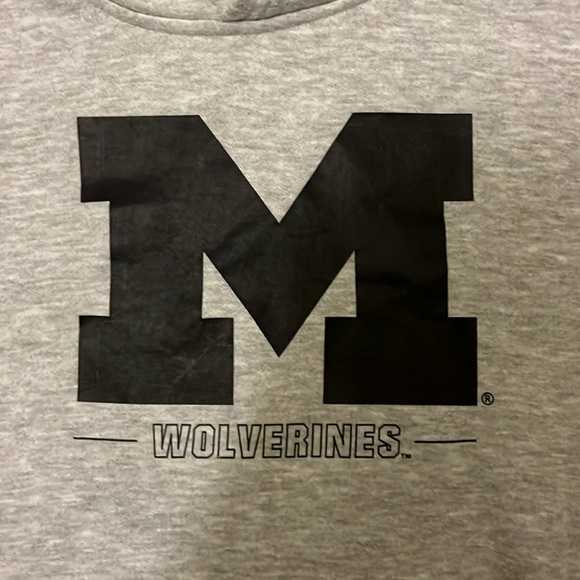 University of Michigan gray hoodie youth size 18/20 - Picture 8 of 8